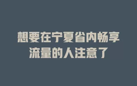 想要在宁夏省内畅享流量的人注意了
