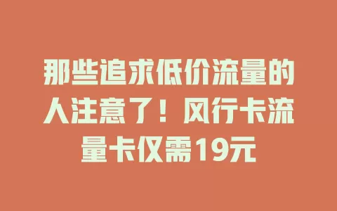 那些追求低价流量的人注意了！风行卡流量卡仅需19元