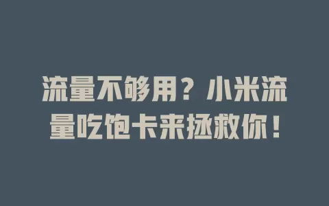 流量不够用？小米流量吃饱卡来拯救你！