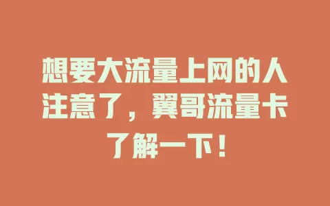 想要大流量上网的人注意了，翼哥流量卡了解一下！