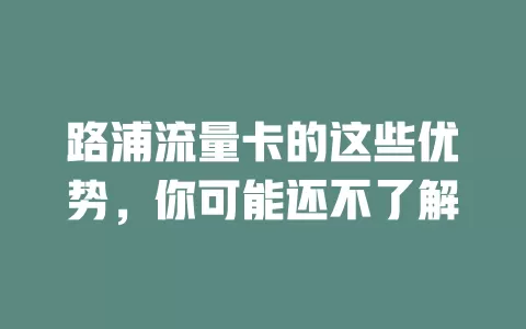 路浦流量卡的这些优势，你可能还不了解