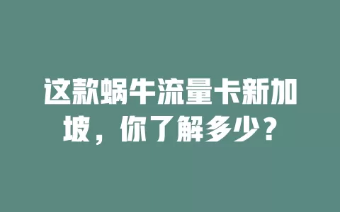 这款蜗牛流量卡新加坡，你了解多少？