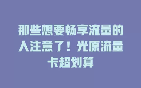 那些想要畅享流量的人注意了！光原流量卡超划算