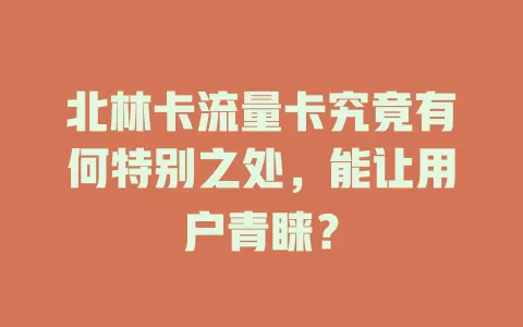 北林卡流量卡究竟有何特别之处，能让用户青睐？