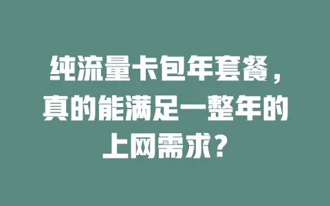 纯流量卡包年套餐，真的能满足一整年的上网需求？