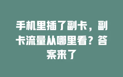 手机里插了副卡，副卡流量从哪里看？答案来了