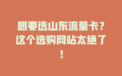 想要选山东流量卡？这个选购网站太绝了！