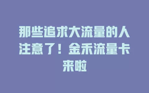 那些追求大流量的人注意了！金禾流量卡来啦