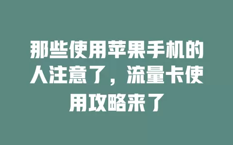 那些使用苹果手机的人注意了，流量卡使用攻略来了