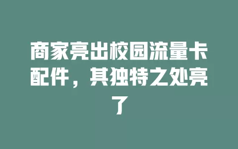 商家亮出校园流量卡配件，其独特之处亮了