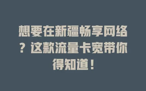 想要在新疆畅享网络？这款流量卡宽带你得知道！