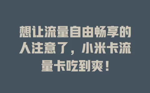 想让流量自由畅享的人注意了，小米卡流量卡吃到爽！