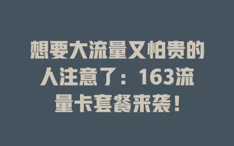 想要大流量又怕贵的人注意了：163流量卡套餐来袭！