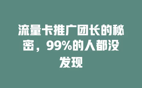 流量卡推广团长的秘密，99%的人都没发现