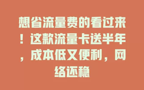 想省流量费的看过来！这款流量卡送半年，成本低又便利，网络还稳