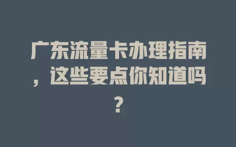 广东流量卡办理指南，这些要点你知道吗？