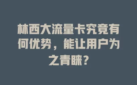 林西大流量卡究竟有何优势，能让用户为之青睐？
