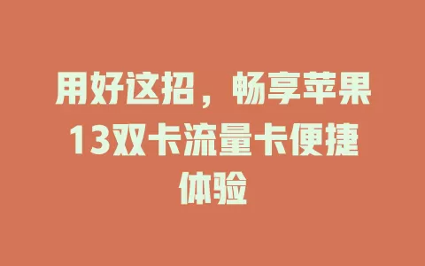 用好这招，畅享苹果13双卡流量卡便捷体验