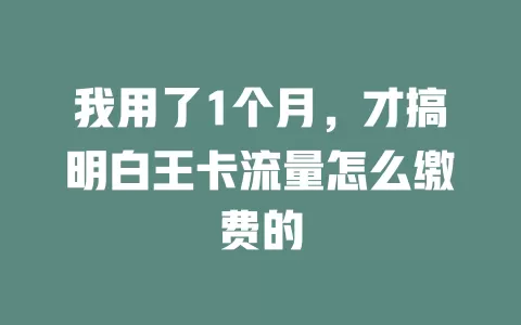 我用了1个月，才搞明白王卡流量怎么缴费的