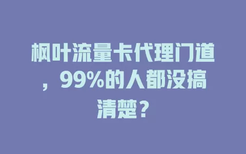 枫叶流量卡代理门道，99%的人都没搞清楚？