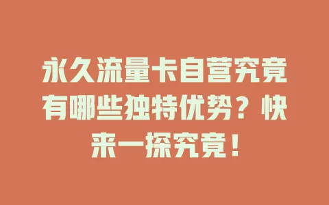 永久流量卡自营究竟有哪些独特优势？快来一探究竟！