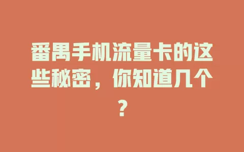 番禺手机流量卡的这些秘密，你知道几个？