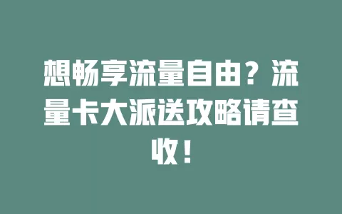 想畅享流量自由？流量卡大派送攻略请查收！