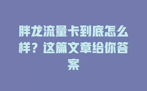 胖龙流量卡到底怎么样？这篇文章给你答案