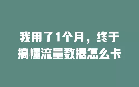 我用了1个月，终于搞懂流量数据怎么卡
