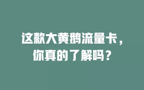 这款大黄鹅流量卡，你真的了解吗？