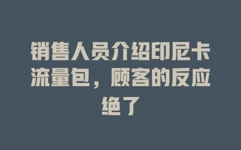 销售人员介绍印尼卡流量包，顾客的反应绝了