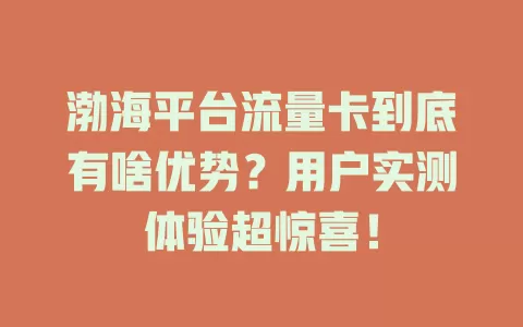 渤海平台流量卡到底有啥优势？用户实测体验超惊喜！