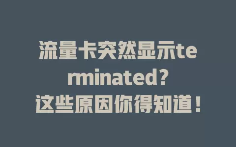 流量卡突然显示terminated？这些原因你得知道！