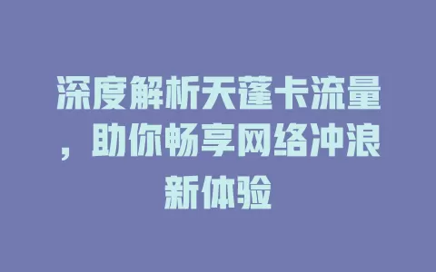 深度解析天蓬卡流量，助你畅享网络冲浪新体验