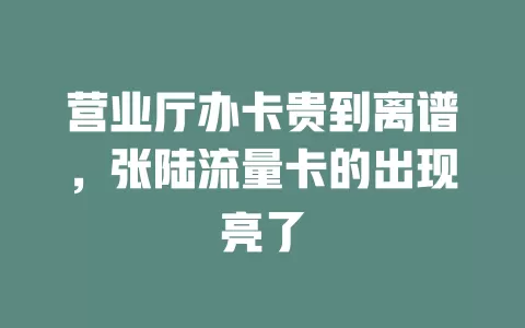 营业厅办卡贵到离谱，张陆流量卡的出现亮了