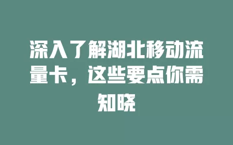 深入了解湖北移动流量卡，这些要点你需知晓