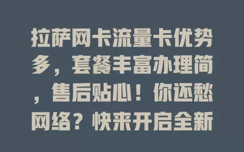 拉萨网卡流量卡优势多，套餐丰富办理简，售后贴心！你还愁网络？快来开启全新体验