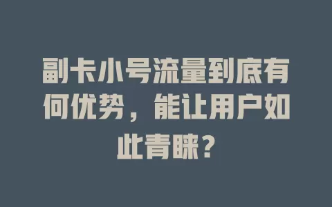 副卡小号流量到底有何优势，能让用户如此青睐？