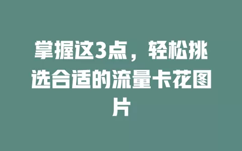 掌握这3点，轻松挑选合适的流量卡花图片