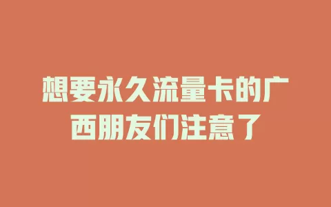 想要永久流量卡的广西朋友们注意了