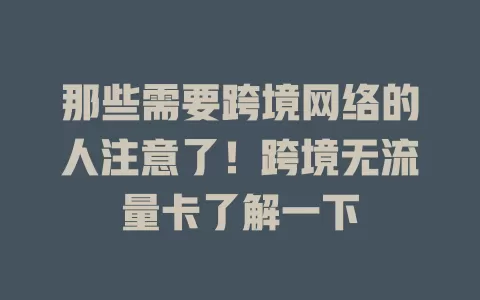 那些需要跨境网络的人注意了！跨境无流量卡了解一下