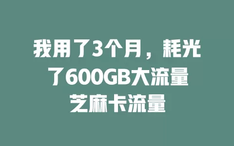 我用了3个月，耗光了600GB大流量芝麻卡流量