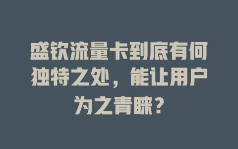 盛钦流量卡到底有何独特之处，能让用户为之青睐？