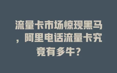 流量卡市场惊现黑马，阿里电话流量卡究竟有多牛？