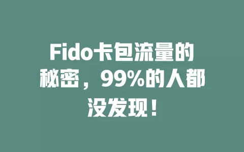 Fido卡包流量的秘密，99%的人都没发现！