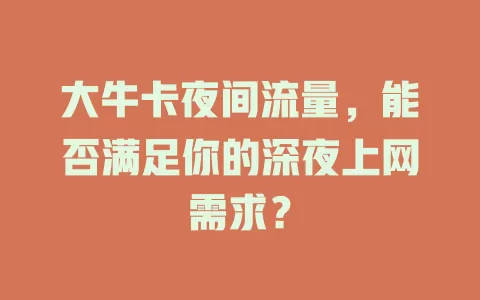 大牛卡夜间流量，能否满足你的深夜上网需求？