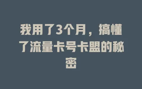 我用了3个月，搞懂了流量卡号卡盟的秘密