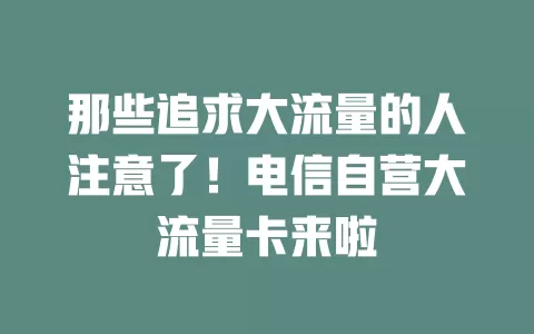 那些追求大流量的人注意了！电信自营大流量卡来啦