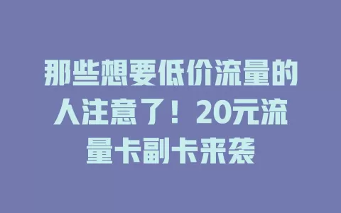 那些想要低价流量的人注意了！20元流量卡副卡来袭