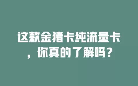 这款金猪卡纯流量卡，你真的了解吗？